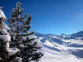 /album/fotogaleria/images-8-jpg/
